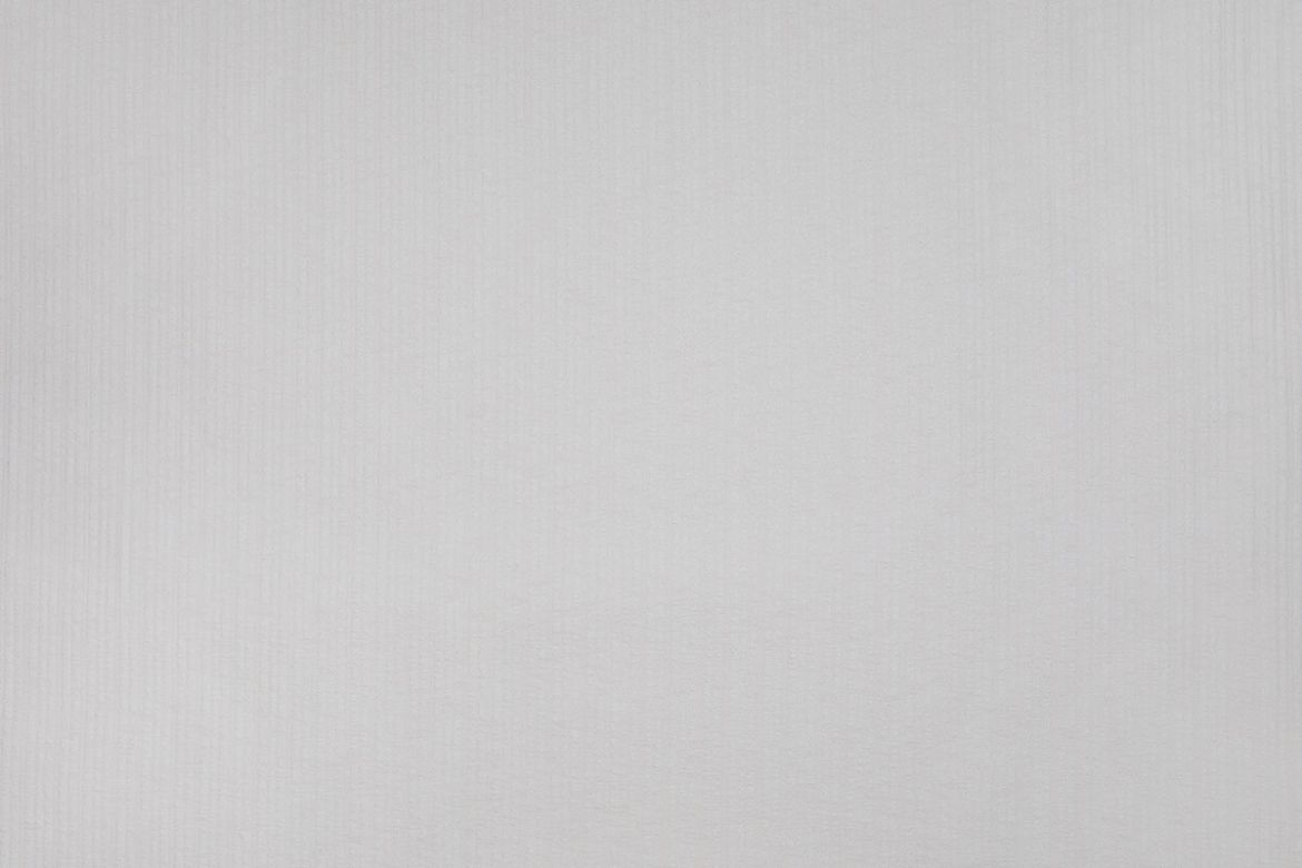 Plain cotton woven fabric in ecru, white colour