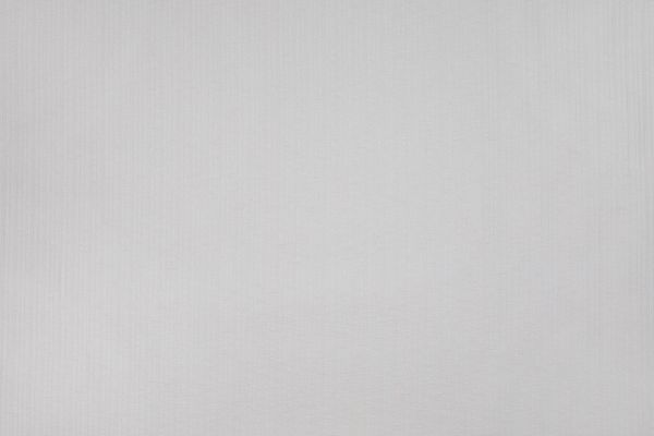 Plain cotton woven fabric in ecru, white colour