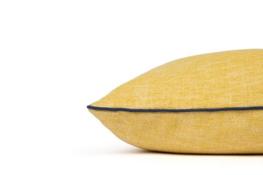 Picture of Frieda Lemon with Vertelli Azzurro Piping Cushion