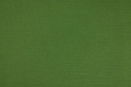 Nola Indoor Woven Plain Fabric Green
